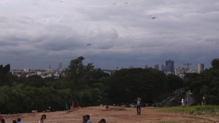 Bengaluru city skyline seen across trees from Lal Bagh