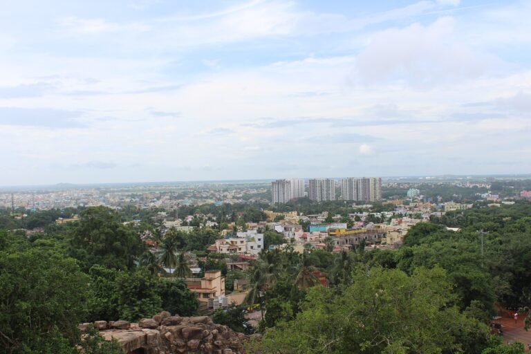Bhubaneswar city skyline seen from Khandagiri hill, with buildings and greenery stretching to the horizon