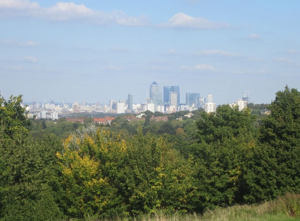 Canary Wharf office towers seen across south London from Dawson Heights