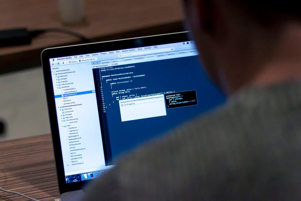 Person viewed from behind working on code in an editor on a laptop screen