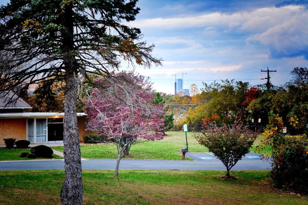 The Capital One headquarters tower in McLean, Virginia, seen from a distance