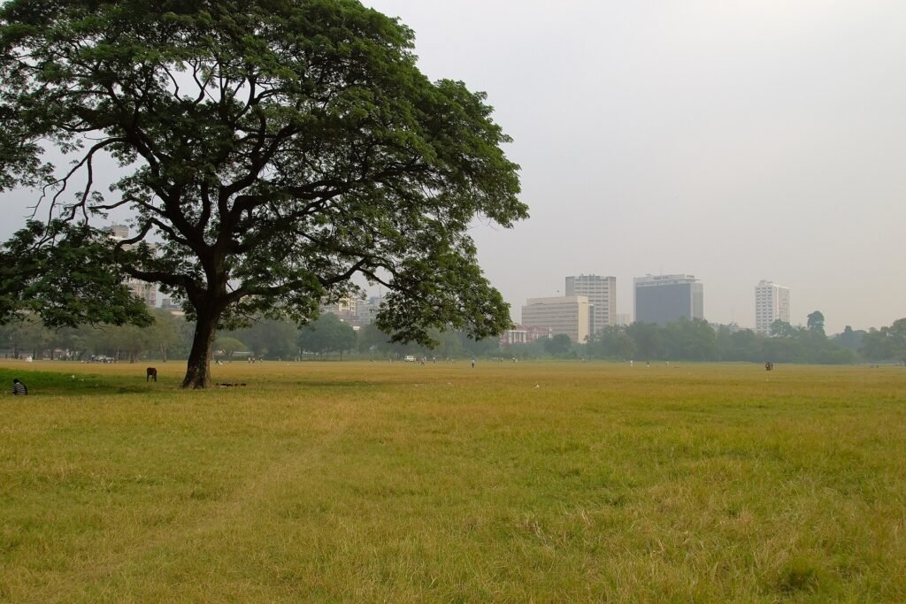 The Kolkata skyline seen across the green Maidan park