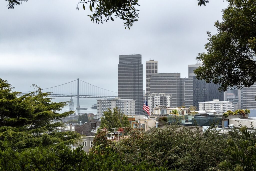 View over San Francisco's downtown business district from Pioneer Park